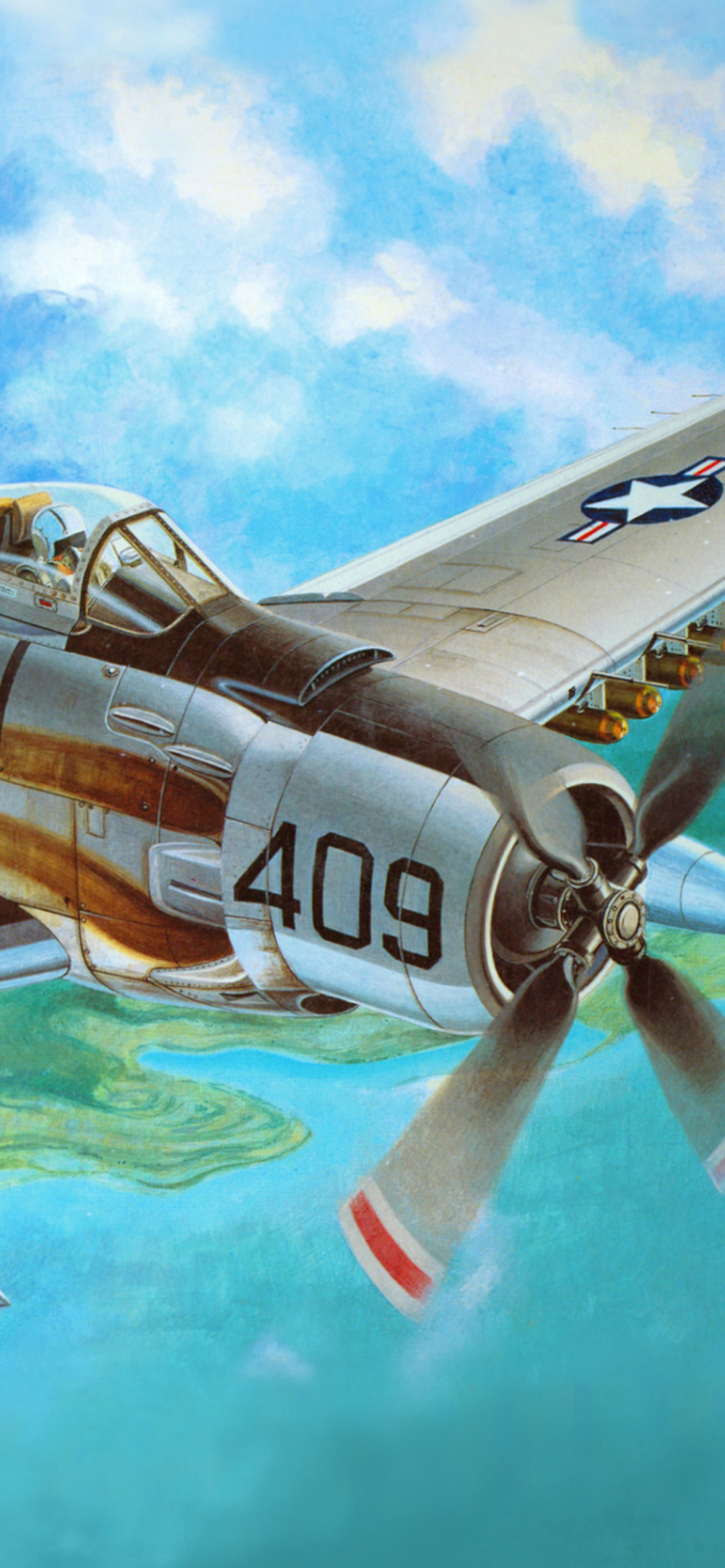 Douglas A-1 Skyraider wallpaper 1170x2532