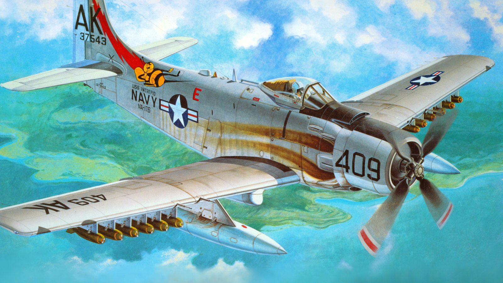 Douglas A-1 Skyraider wallpaper 1600x900