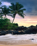 Hawaii Beach screenshot #1 128x160