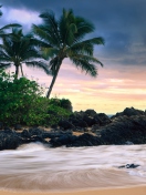 Screenshot №1 pro téma Hawaii Beach 132x176