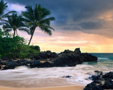 Hawaii Beach wallpaper 220x176