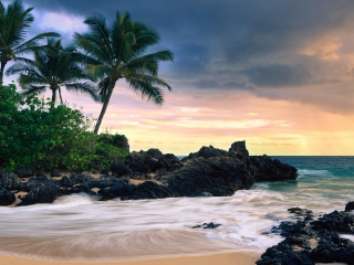 Das Hawaii Beach Wallpaper 320x240