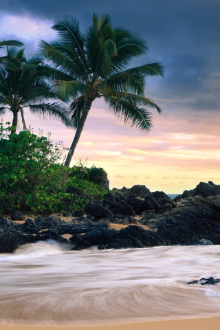 Screenshot №1 pro téma Hawaii Beach 320x480