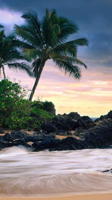 Hawaii Beach screenshot #1 360x640