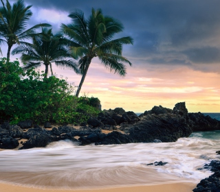 Hawaii Beach sfondi gratuiti per 1024x1024