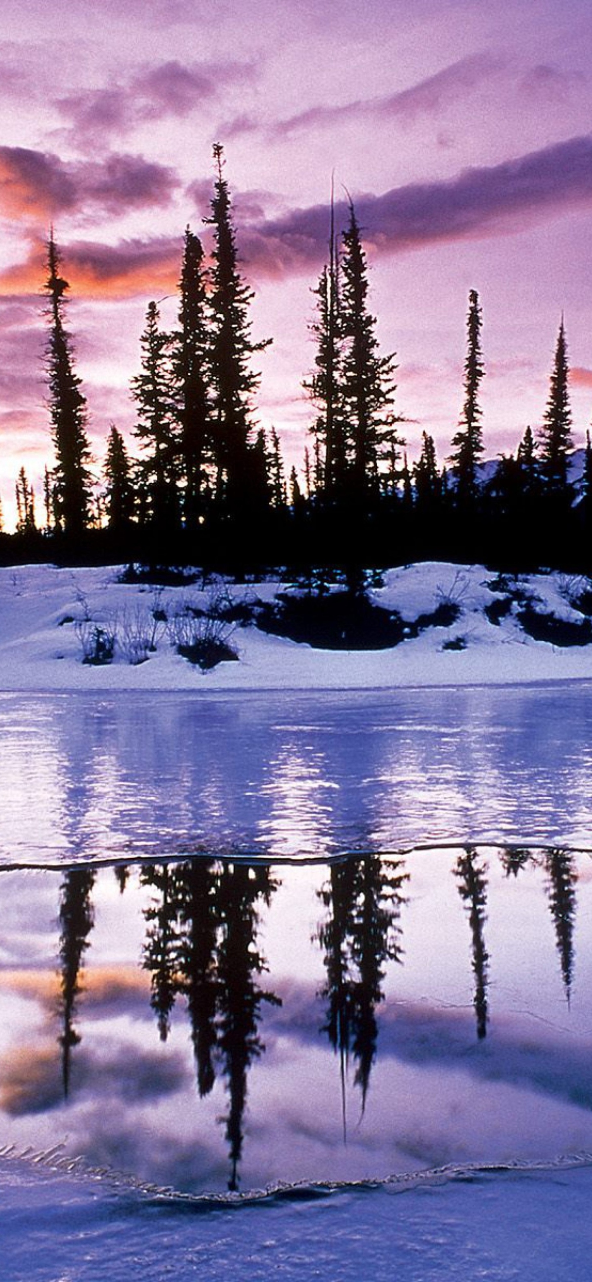 Winter Evening Landscape wallpaper 1170x2532