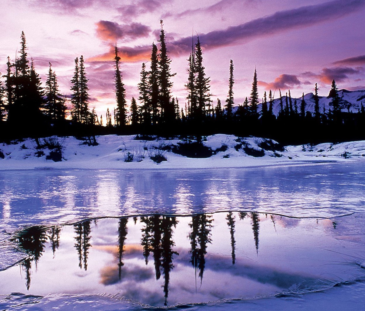 Fondo de pantalla Winter Evening Landscape 1200x1024