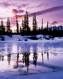 Winter Evening Landscape screenshot #1 128x160