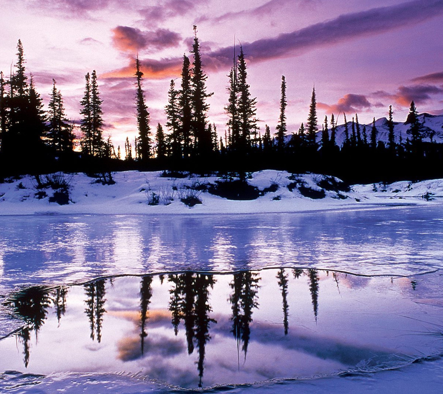 Winter Evening Landscape screenshot #1 1440x1280