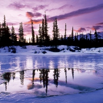 Fondo de pantalla Winter Evening Landscape 208x208