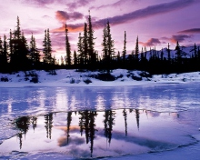 Winter Evening Landscape wallpaper 220x176