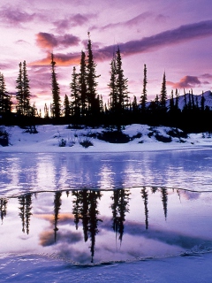 Fondo de pantalla Winter Evening Landscape 240x320
