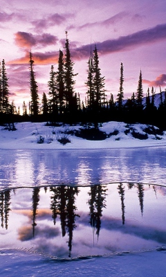 Fondo de pantalla Winter Evening Landscape 240x400