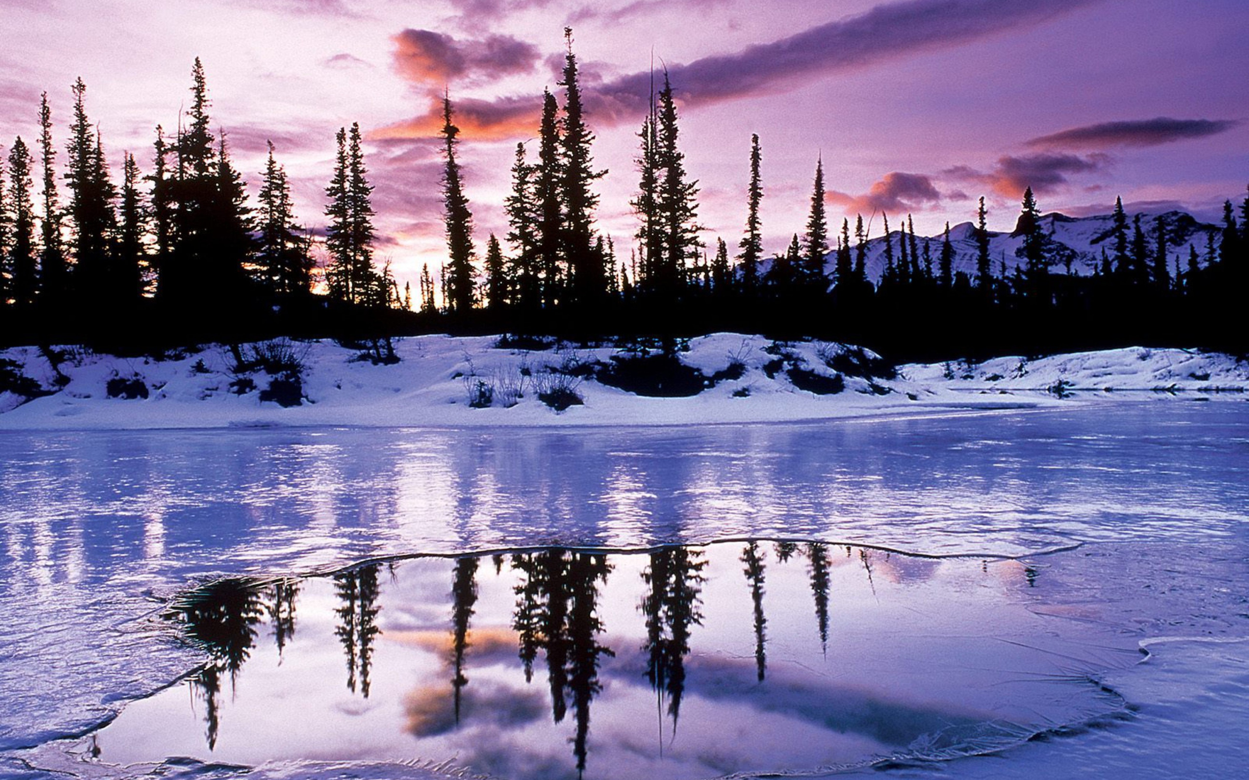 Обои Winter Evening Landscape 2560x1600