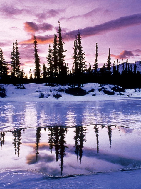 Screenshot №1 pro téma Winter Evening Landscape 480x640