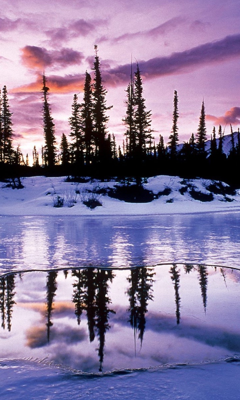 Fondo de pantalla Winter Evening Landscape 480x800