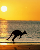 Australian Kangaroo wallpaper 128x160