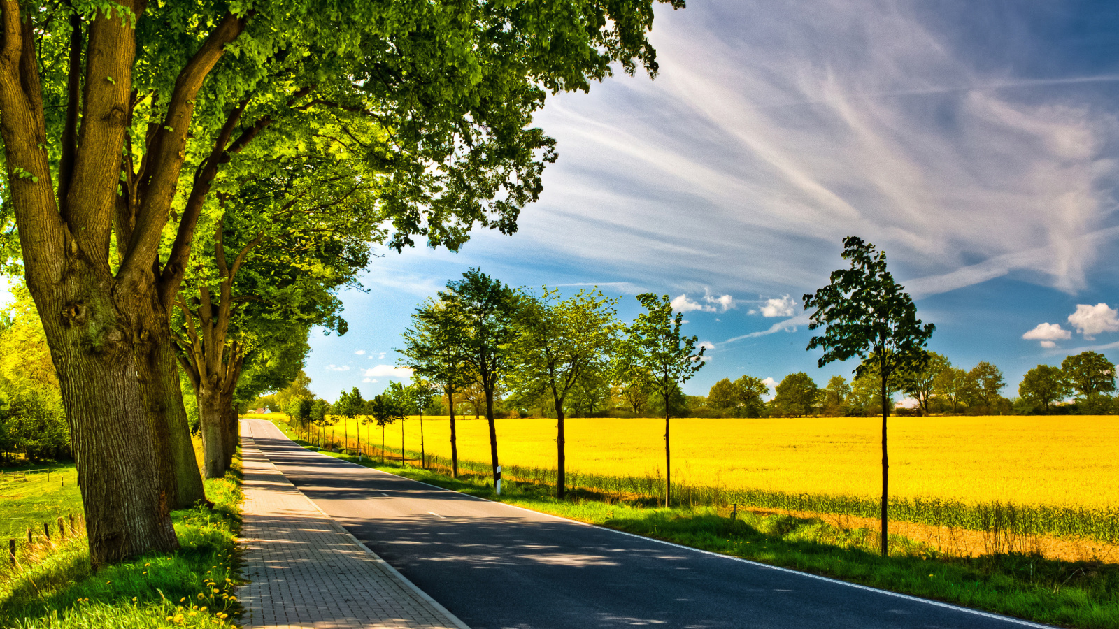 Ideal avenue for cars screenshot #1 1600x900