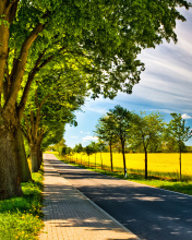 Das Ideal avenue for cars Wallpaper 176x220