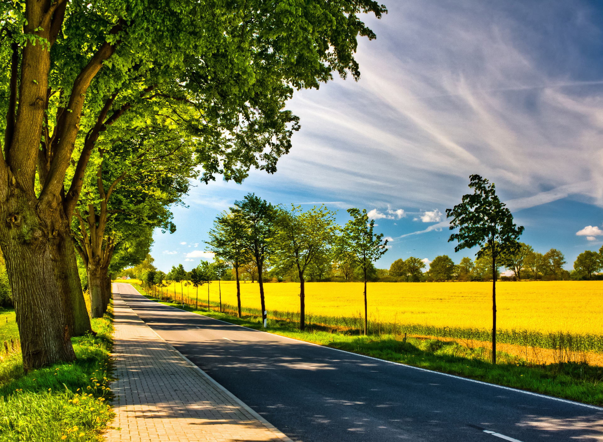 Ideal avenue for cars screenshot #1 1920x1408