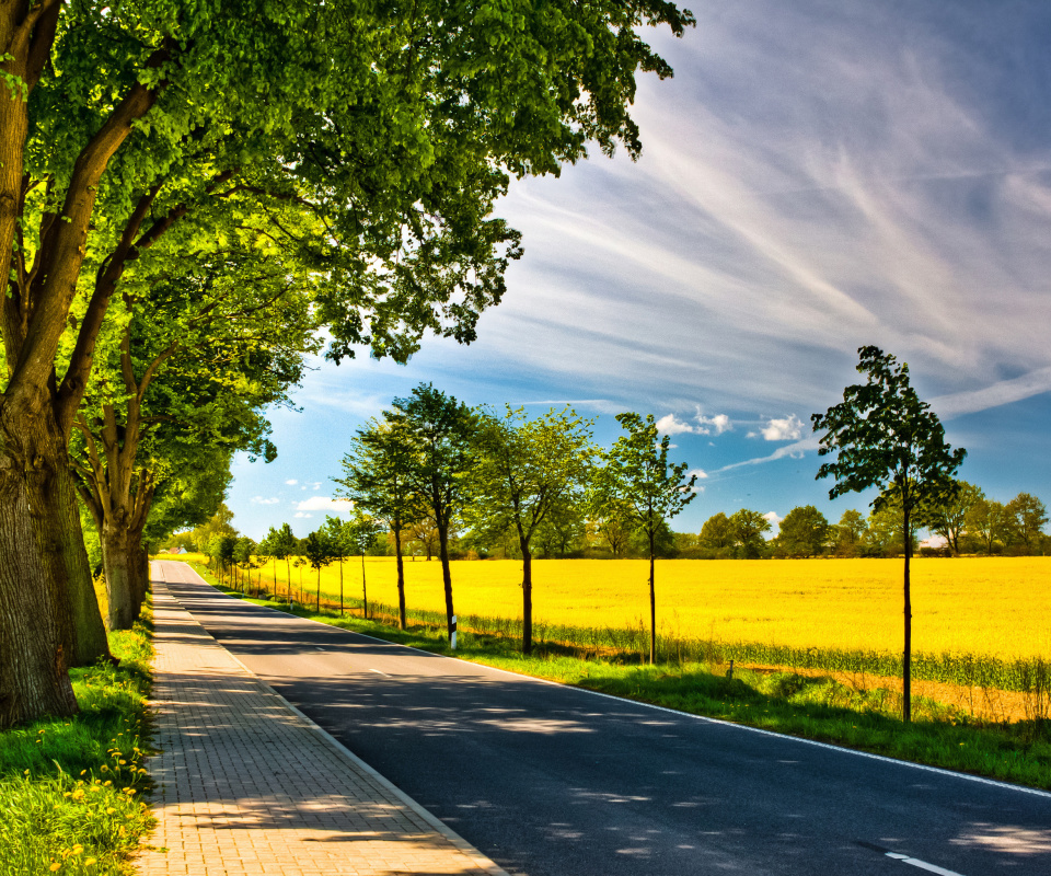 Ideal avenue for cars screenshot #1 960x800