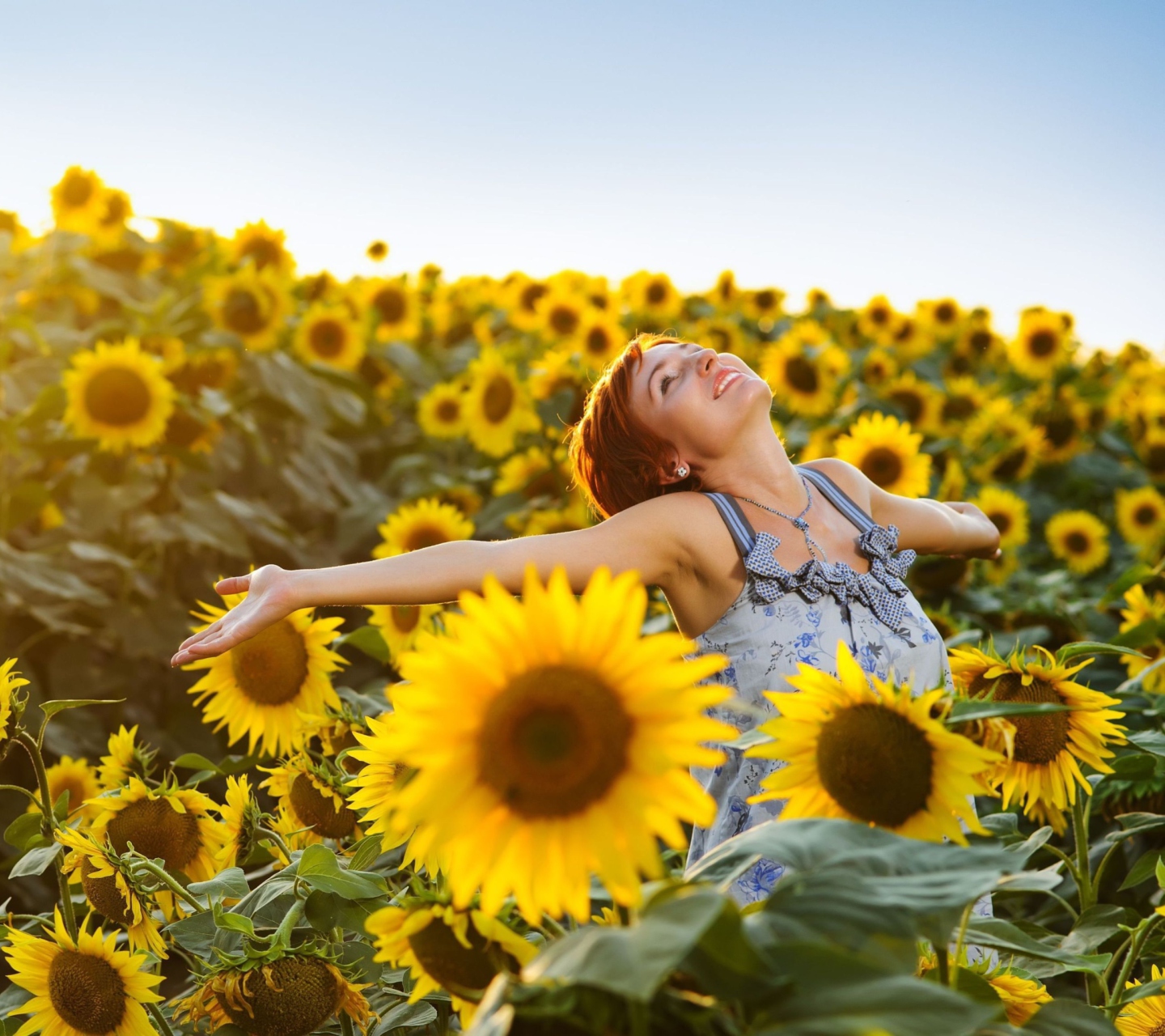 Обои Sunflower Girl 1440x1280