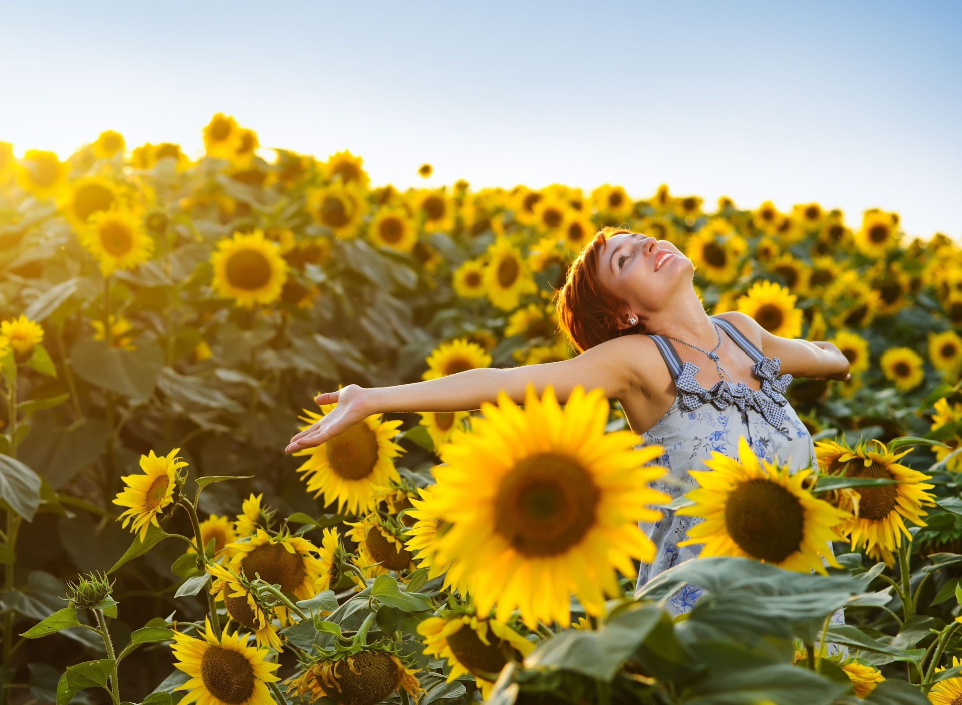 Fondo de pantalla Sunflower Girl 1920x1408