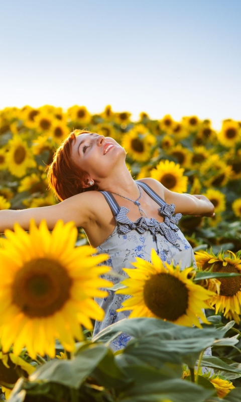 Das Sunflower Girl Wallpaper 480x800