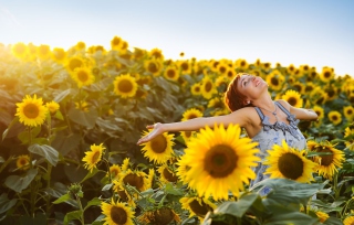 Sunflower Girl Wallpaper for Android, iPhone and iPad