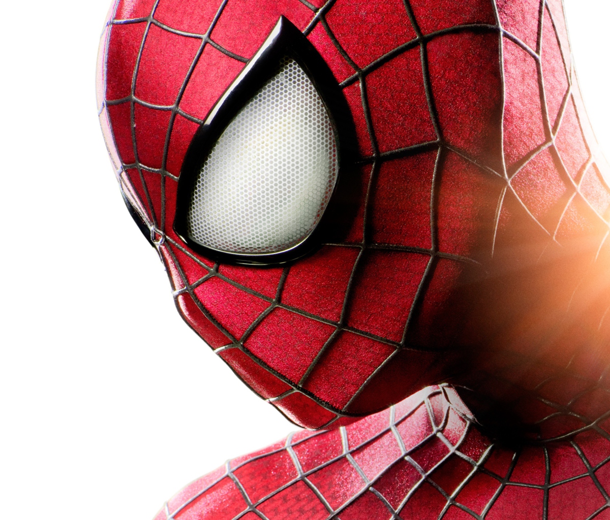 Обои The Amazing Spider Man 1200x1024