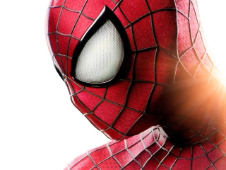 Обои The Amazing Spider Man 320x240