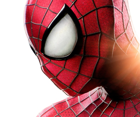 Screenshot №1 pro téma The Amazing Spider Man 480x400