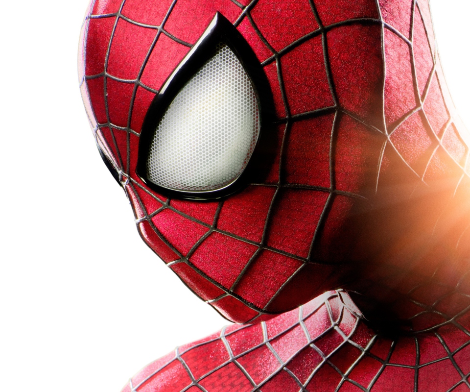 Fondo de pantalla The Amazing Spider Man 960x800