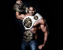 Alistair Overeem MMA Star wallpaper 220x176