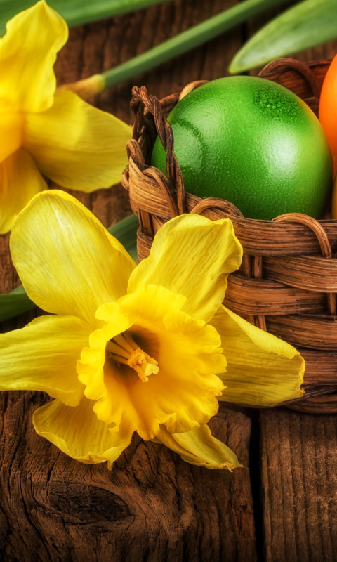 Обои Daffodils and Easter Eggs 480x800