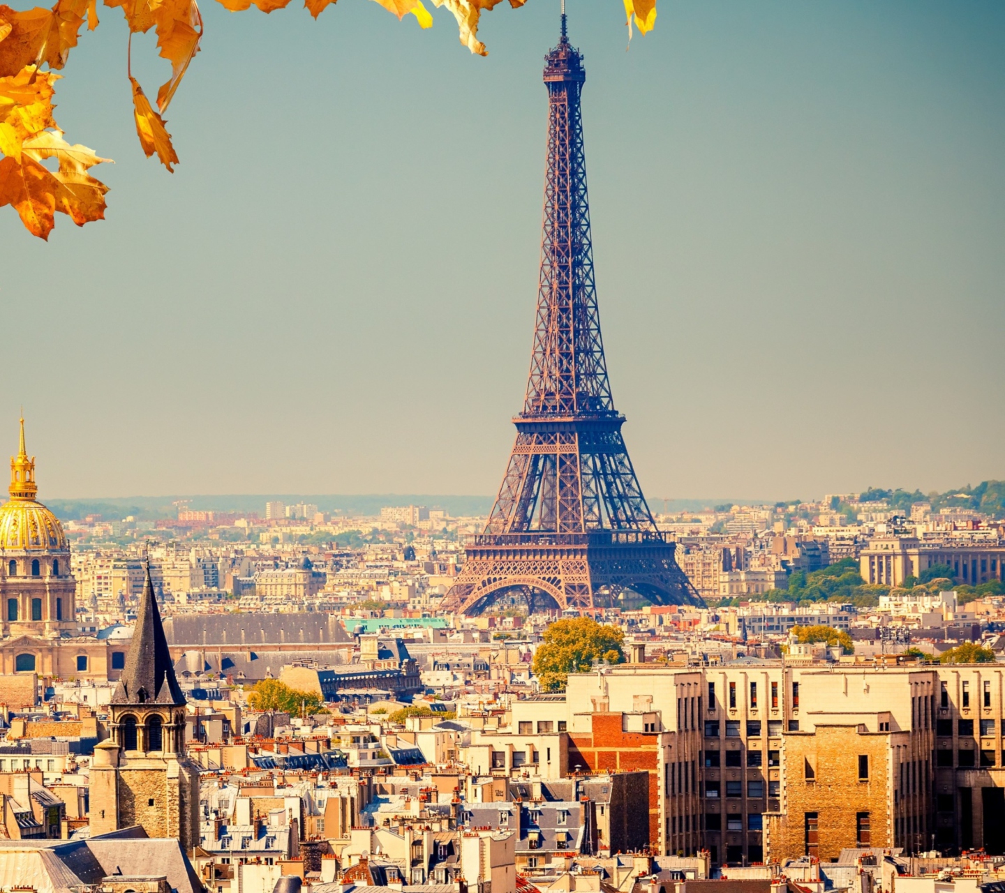 Screenshot №1 pro téma Paris In Autumn 1440x1280