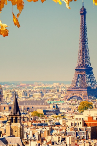 Fondo de pantalla Paris In Autumn 320x480
