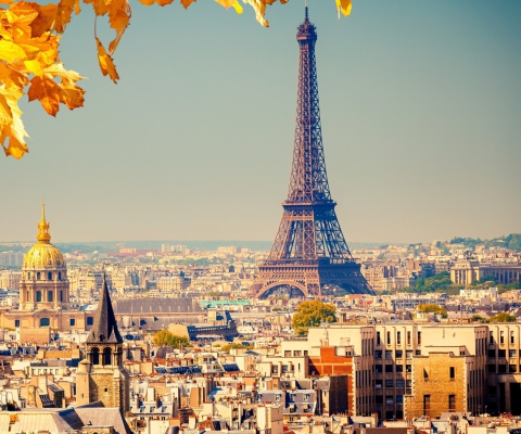 Sfondi Paris In Autumn 480x400
