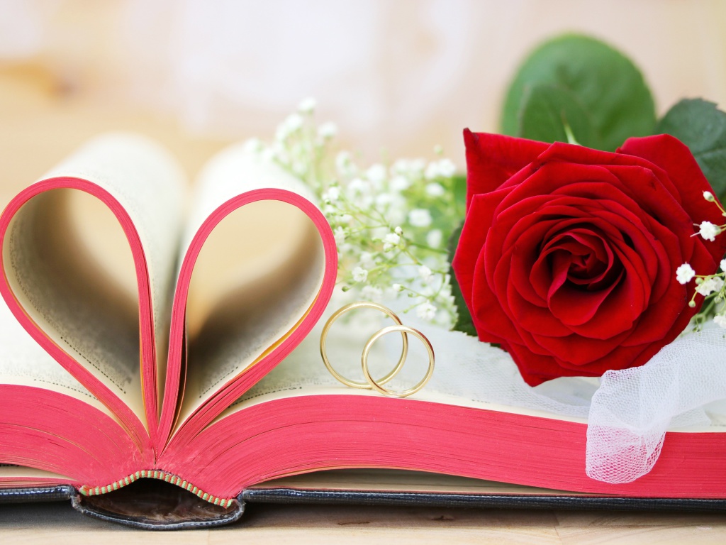 Wedding rings and book wallpaper 1024x768