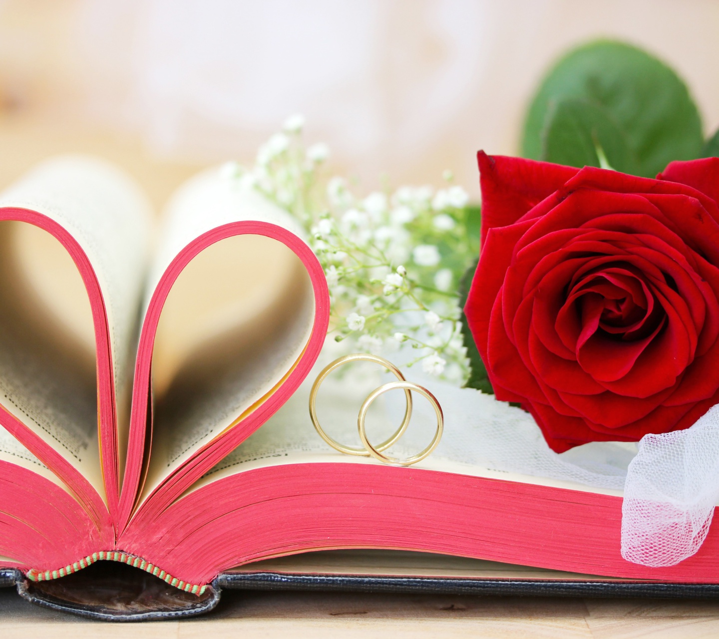Wedding rings and book wallpaper 1440x1280