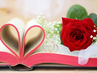 Wedding rings and book wallpaper 320x240