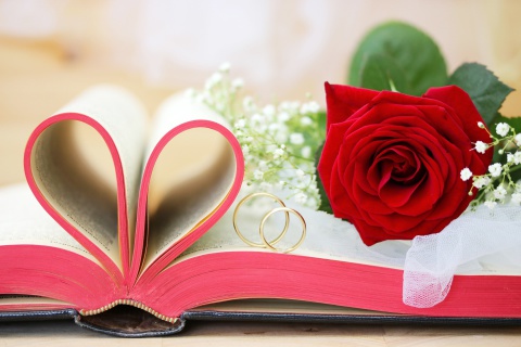 Wedding rings and book wallpaper 480x320