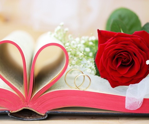 Wedding rings and book wallpaper 480x400