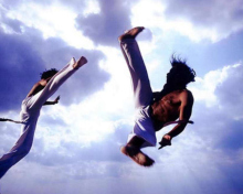 Обои Capoeira 220x176