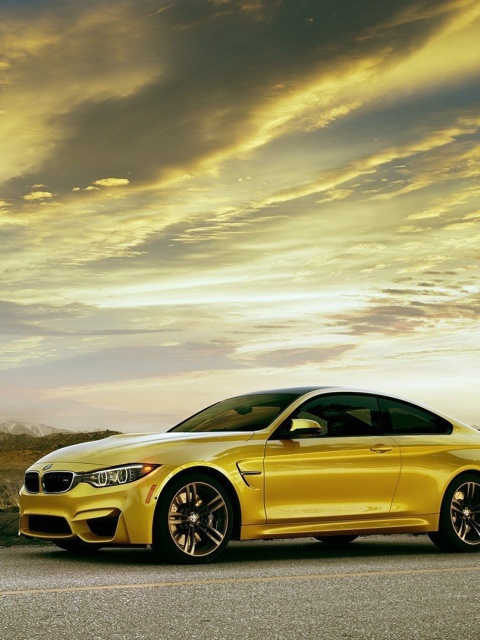 BMW M4 screenshot #1 480x640
