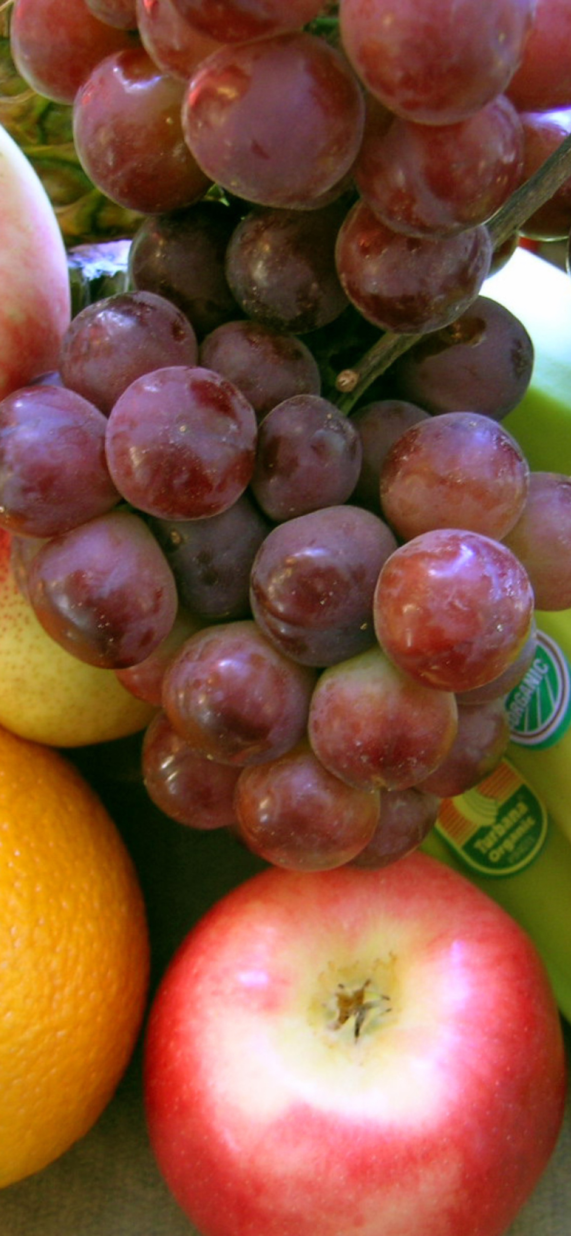 Vitamins Fruits wallpaper 1170x2532