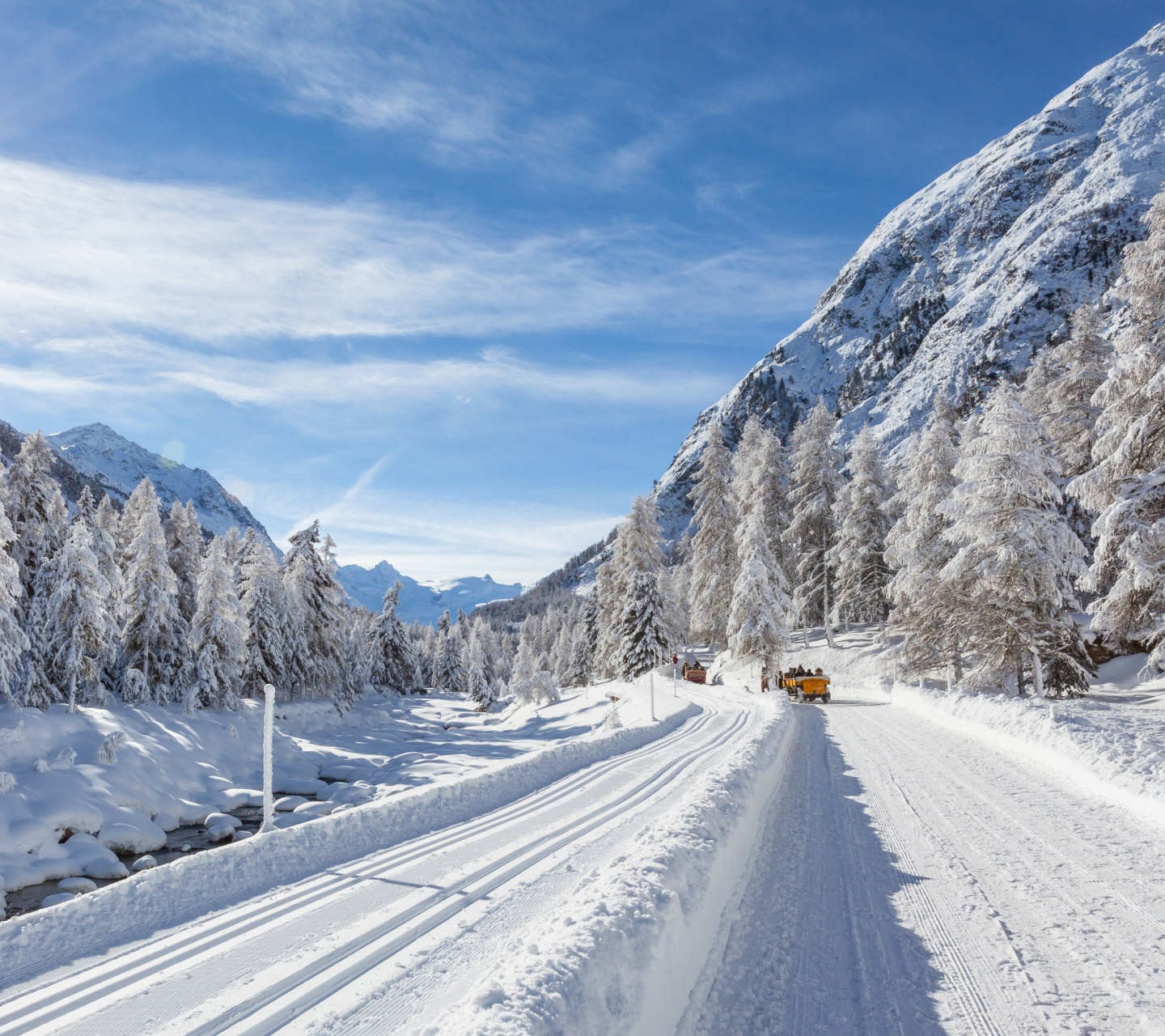 Sfondi Snow-covered Road 1440x1280