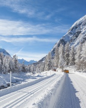 Обои Snow-covered Road 176x220