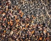 Pebbles And Water Reflections screenshot #1 176x144