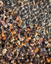 Fondo de pantalla Pebbles And Water Reflections 176x220
